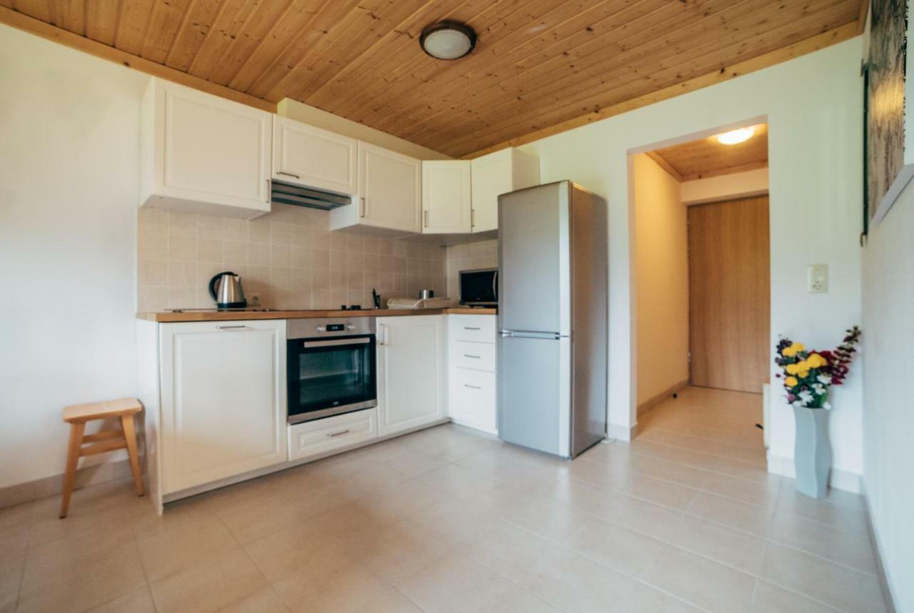 Haus Izabella Apartment Filzmoos Ngoại thất bức ảnh